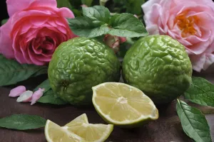 Amber Romance Victoria Secret Type Fragrance Oil