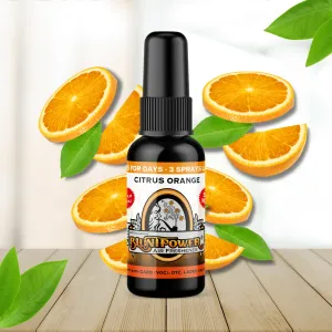Citrus Orange Air Freshener Spray