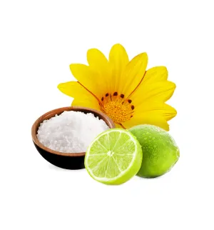 Crushed Lime and Sea Salt Fragrance Oil