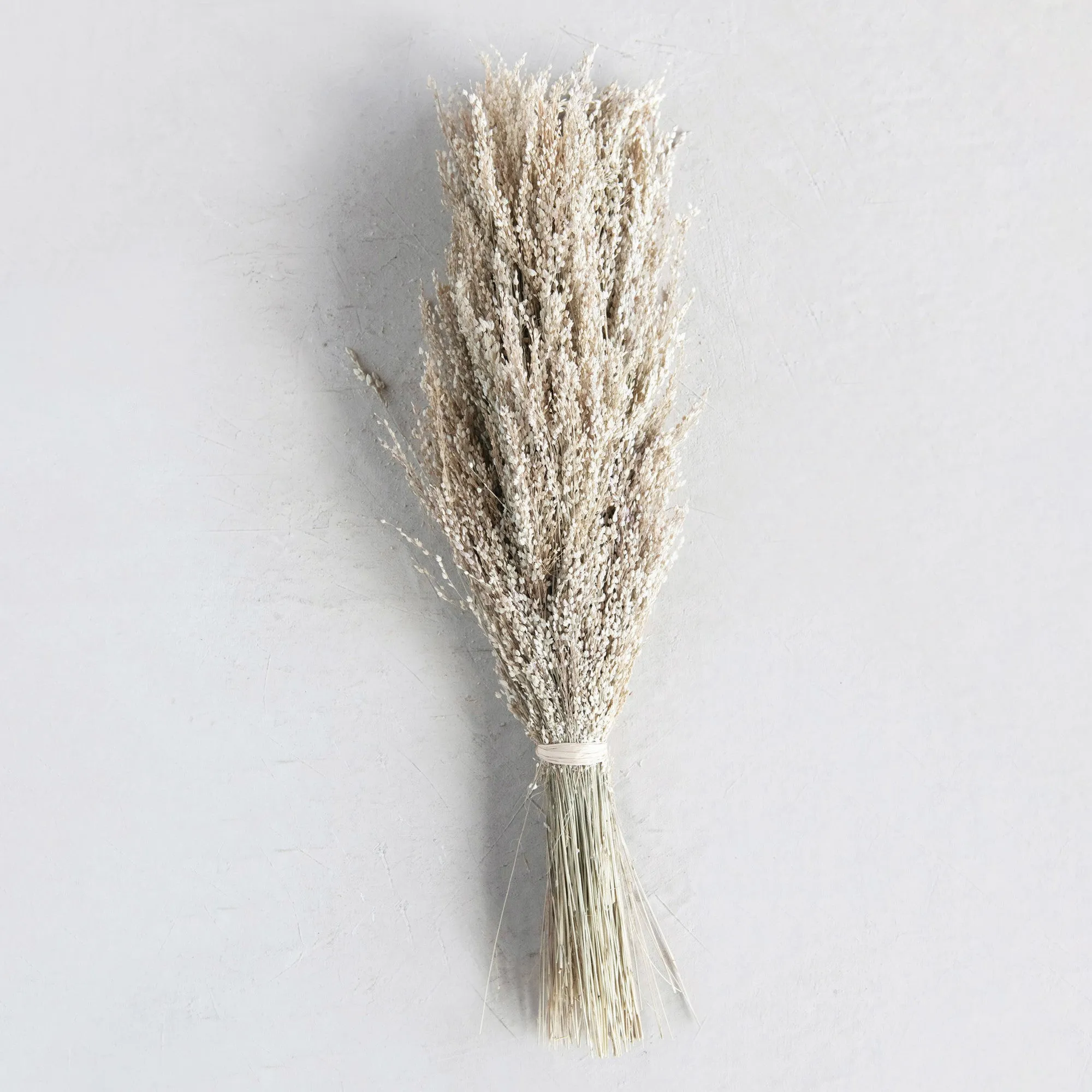 Dried Natural Star Grass