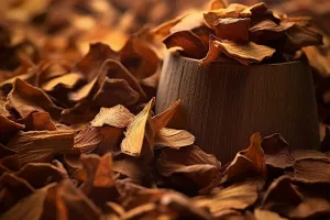 Egyptian Sandalwood Fragrance Oil