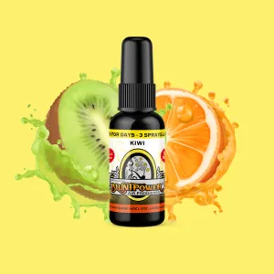 Kiwi Air Freshener Spray