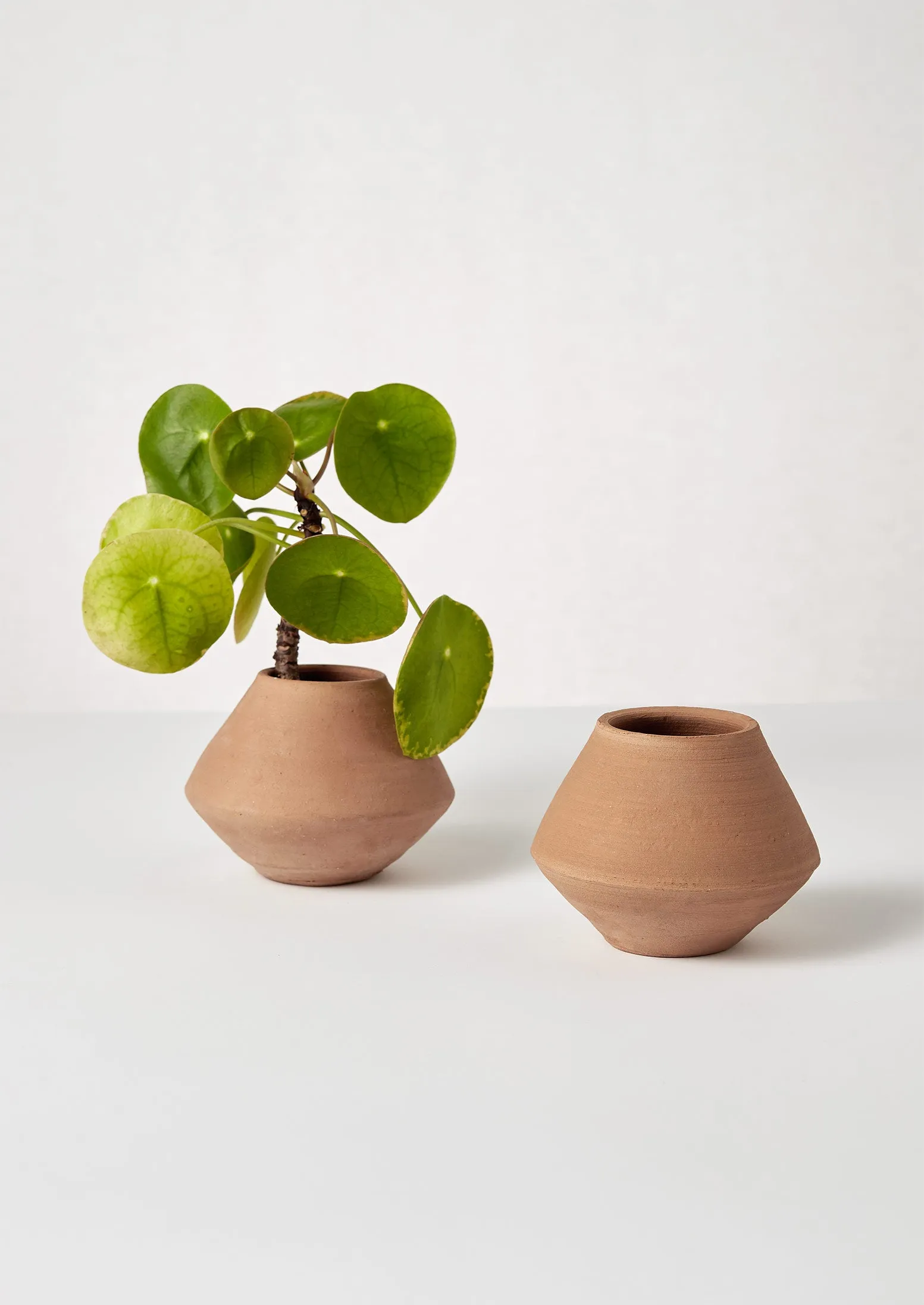Lopa Terracotta Planter | Terracotta