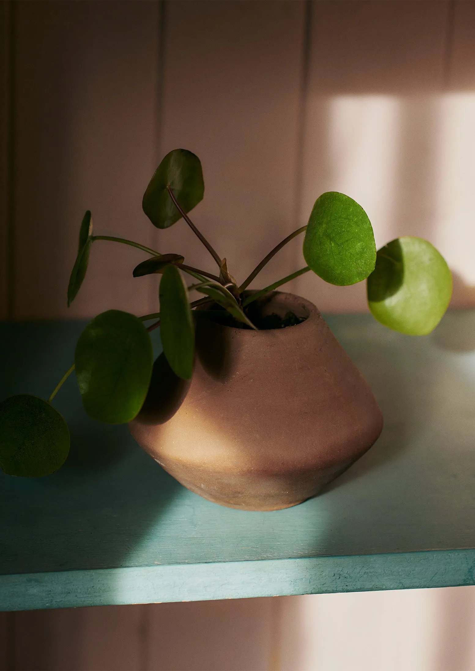 Lopa Terracotta Planter | Terracotta