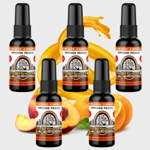 Orange Peach Air Freshener Bundle (5 Pack)