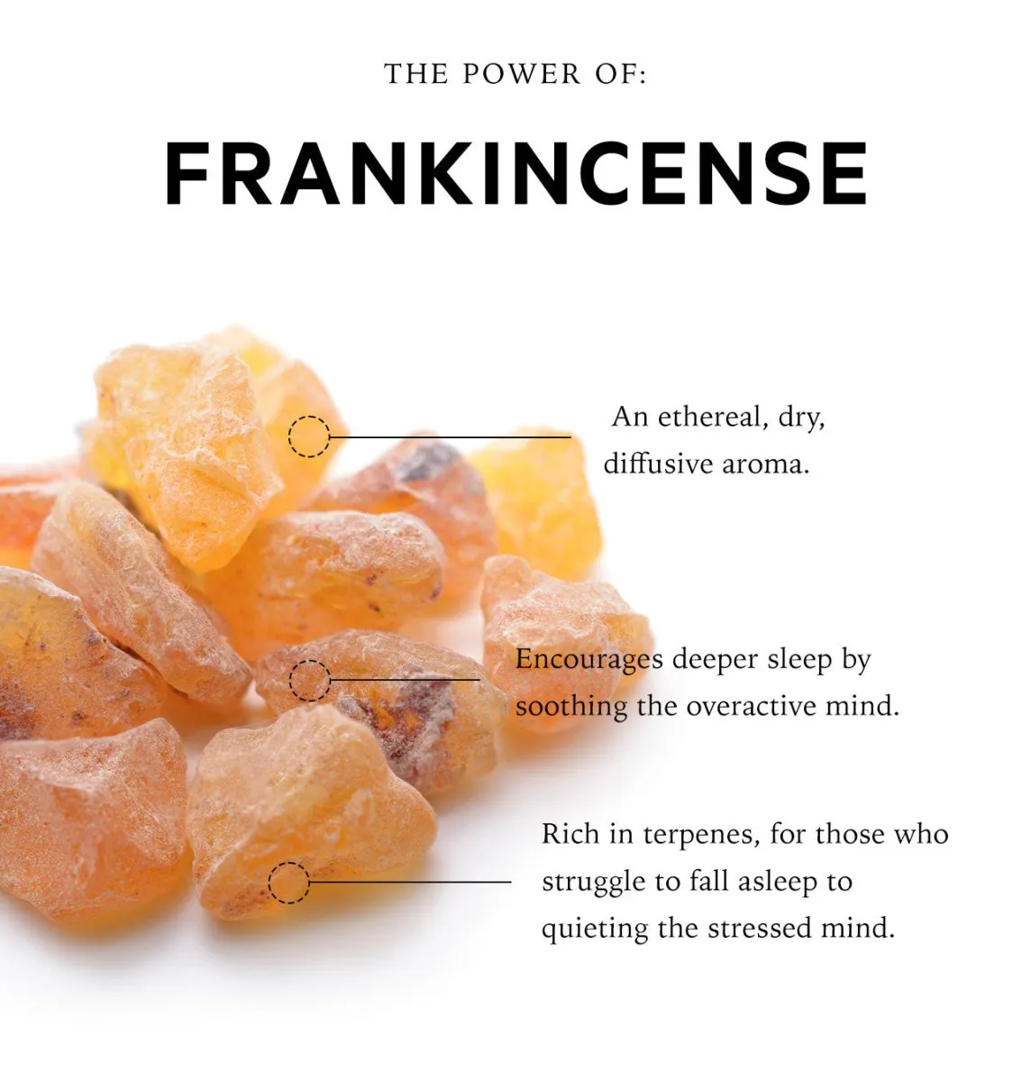 Overactive Mind Sensory Point Sleep Oil | Somali Frankincense