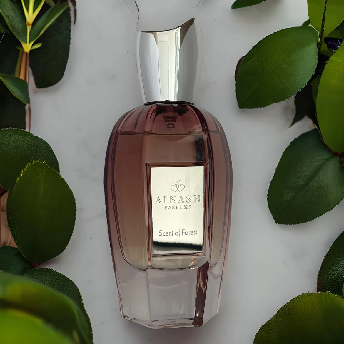 Scent of Forest by Ainash Parfums